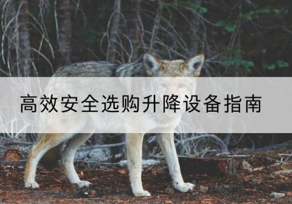 潼关升降货梯厂家推荐-*安全选购升降设备指南