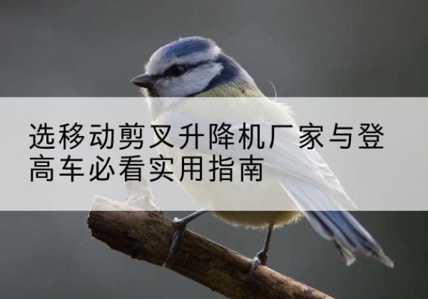 潼关电动升降机厂家-选移动剪叉升降机厂家与登高车必看实用指南
