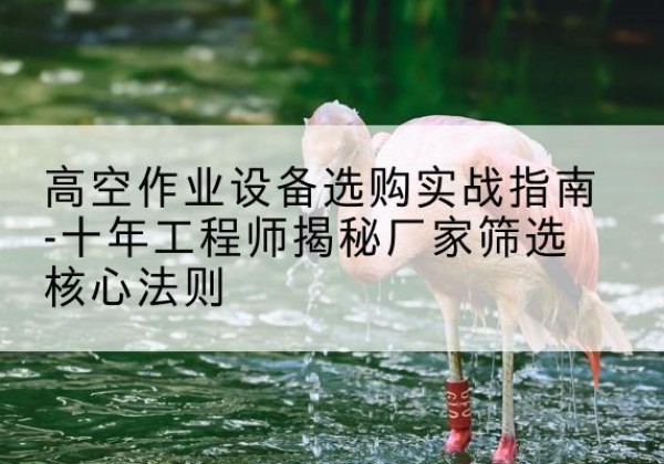 潼关剪叉式升降机厂家-高空作业设备选购实战指南-十年工程师揭秘厂家筛选核心法则